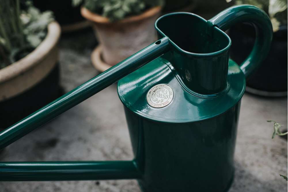 Haws The Warley Fall 9 L grøn